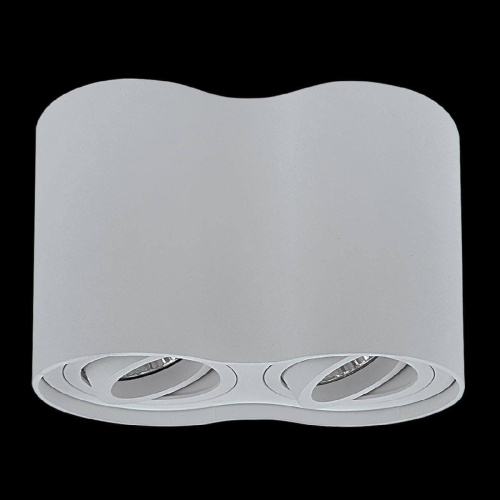 Потолочный светильник Lightstar Binoco 052029 Потолочный светильник Lightstar Binoco 052029