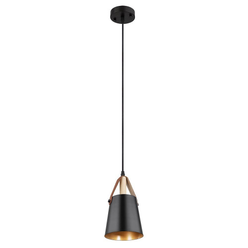 Подвесной светильник Arte Lamp THOMAS A7032SP-1BK Подвесной светильник Arte Lamp THOMAS A7032SP-1BK