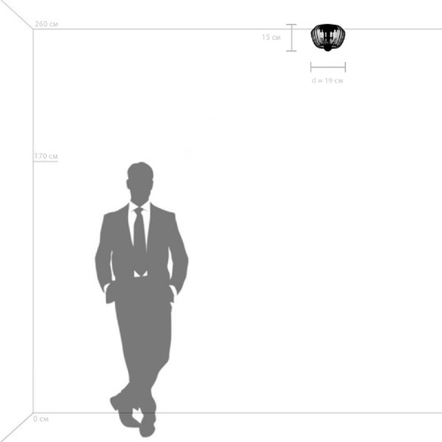 Потолочный светильник Lightstar Celesta 809000 Потолочный светильник Lightstar Celesta 809000