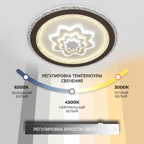 Потолочный светильник Seven Fires Torod 75385.01.09.132 Потолочный светильник Seven Fires Torod 75385.01.09.132