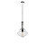 Подвесной светильник Loft IT 2073-B