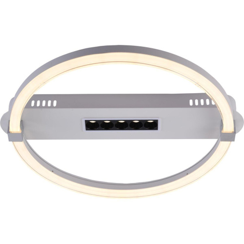 Потолочный светодиодный светильник Escada Aspect 10253/1LED Потолочный светодиодный светильник Escada Aspect 10253/1LED
