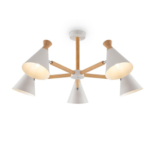 Потолочная люстра Freya Rise FR5169PL-05W Потолочная люстра Freya Rise FR5169PL-05W