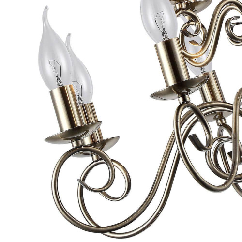 Подвесная люстра Arte Lamp A1129LM-5AB Подвесная люстра Arte Lamp A1129LM-5AB