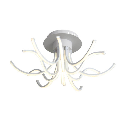 Потолочный светодиодный светильник ST Luce Finde SL826.502.12 Потолочный светодиодный светильник ST Luce Finde SL826.502.12