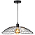 Подвесной светильник Toplight Agnes TL1196H-01BK
