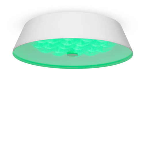 Потолочный светодиодный светильник Freya Cells FR10013CL-L24W Потолочный светодиодный светильник Freya Cells FR10013CL-L24W