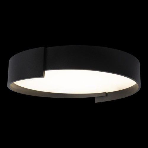 Потолочный светодиодный светильник Loft IT Coin 10200 Black Потолочный светодиодный светильник Loft IT Coin 10200 Black