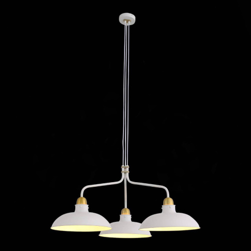 Подвесная люстра ST Luce Pietanza SL323.503.03