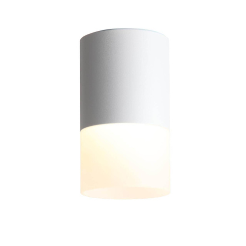 Потолочный светодиодный светильник ST Luce Ottu ST100.502.10 Потолочный светодиодный светильник ST Luce Ottu ST100.502.10