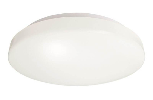 Потолочный светильник Deko-Light Euro LED II 20 348019 Потолочный светильник Deko-Light Euro LED II 20 348019