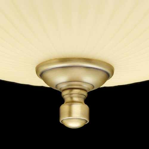 Потолочный светильник MW-Light Афродита 317011403