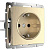 Розетка Werkel с заземлением шампань рифленая WL10-SKG-01-IP20 4690389085246