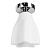 Потолочный светильник Arte Lamp 17 A3469PL-1CC