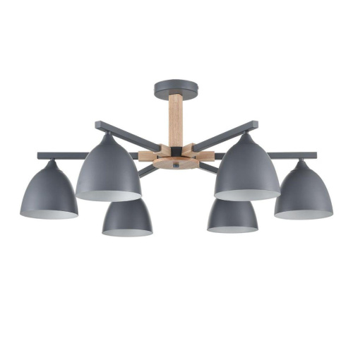 Потолочная люстра Lumion Moderni Colange 8096/6C Потолочная люстра Lumion Moderni Colange 8096/6C