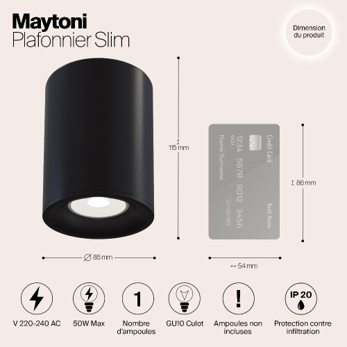 Потолочный светильник Maytoni Alfa C012CL-01B