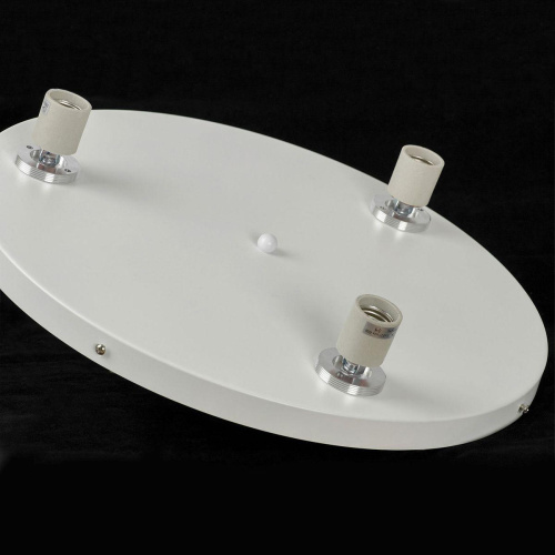 Потолочная люстра Lussole LSP-8904 Потолочная люстра Lussole LSP-8904