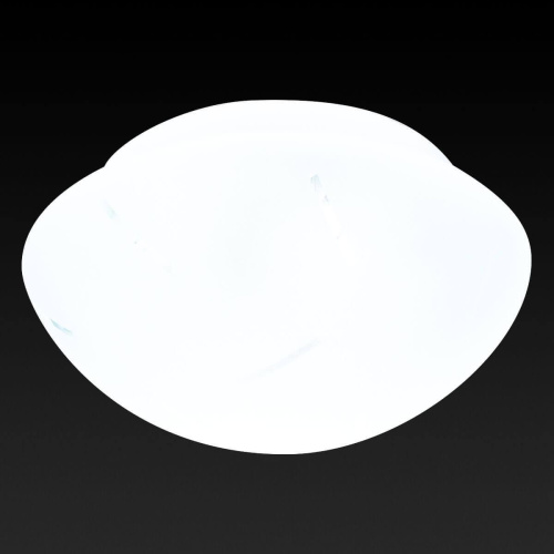 Потолочный светильник Toplight Mae TL9400Y-02WH Потолочный светильник Toplight Mae TL9400Y-02WH