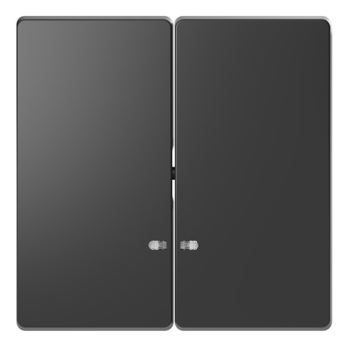 Клавиша двойная Schneider Electric Merten D-Life MTN3420-6034 Клавиша двойная Schneider Electric Merten D-Life MTN3420-6034