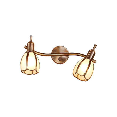 Спот Citilux Альтен-2 CL522621 Спот Citilux Альтен-2 CL522621