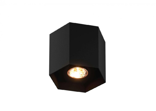 Потолочный светильник Zumaline Polygon cl 1l 20035-BK Потолочный светильник Zumaline Polygon cl 1l 20035-BK