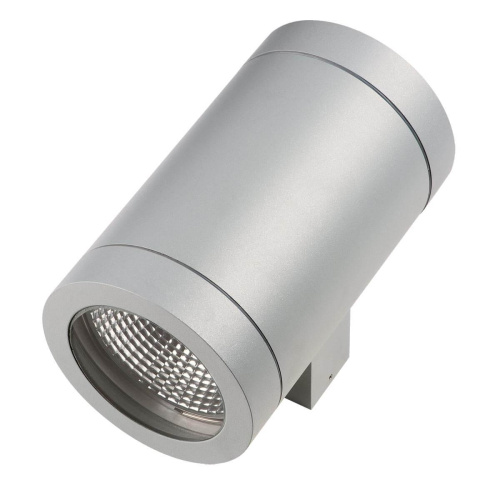 Уличный настенный светильник Lightstar Paro 351619 Уличный настенный светильник Lightstar Paro 351619