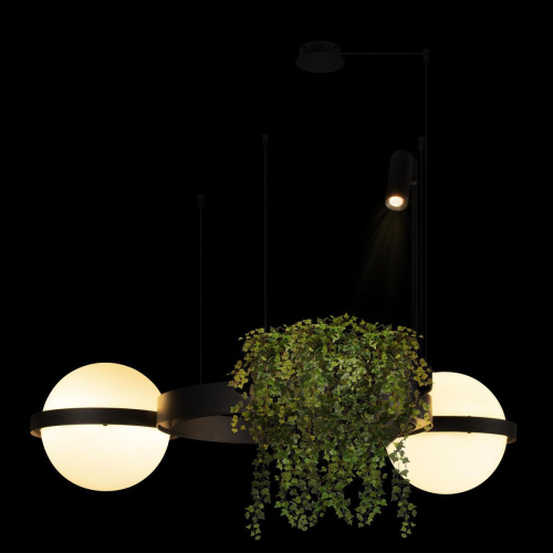Подвесной светодиодный светильник Loft IT Jardin 10121/2 Подвесной светодиодный светильник Loft IT Jardin 10121/2