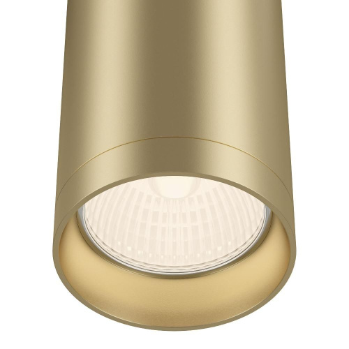 Потолочный светильник Maytoni Alfa C010CL-01MG Потолочный светильник Maytoni Alfa C010CL-01MG