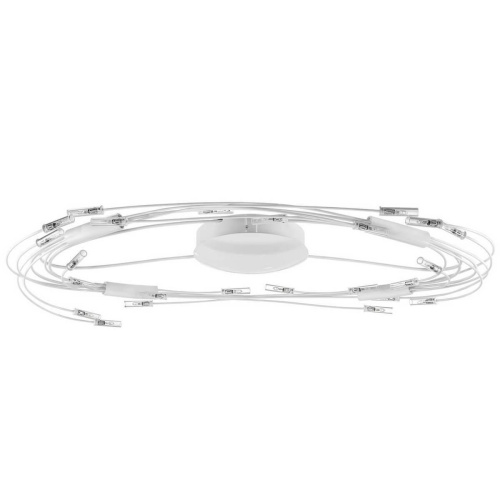 Потолочный светильник Lightstar Ovale 784246 Потолочный светильник Lightstar Ovale 784246