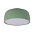Потолочный светодиодный светильник Loft IT Axel 10201/350 Green