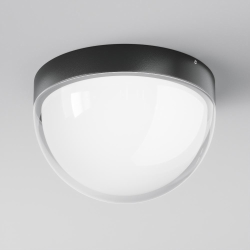Потолочный светильник Outdoor O438CL-L12GF3K Потолочный светильник Outdoor O438CL-L12GF3K