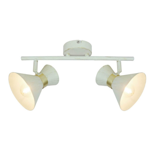 Спот Arte Lamp Baltimore A1406AP-2WG Спот Arte Lamp Baltimore A1406AP-2WG