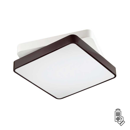 Потолочный светодиодный светильник Lumion Agatha 4511/72CL