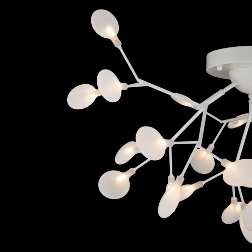 Потолочная люстра Freya Florencia FR5049CL-27W1 Потолочная люстра Freya Florencia FR5049CL-27W1