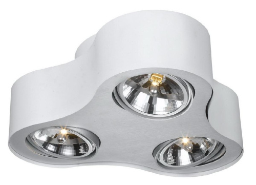 Потолочный светильник Arte Lamp Cliff A5643PL-3WH Потолочный светильник Arte Lamp Cliff A5643PL-3WH