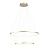 Подвесной светодиодный светильник ST Luce Erto SL904.203.02