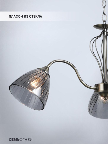 Подвесная люстра Seven Fires Savena WD3625/3H-AB-SMK Подвесная люстра Seven Fires Savena WD3625/3H-AB-SMK