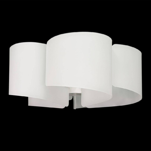 Потолочная люстра Lightstar Simple Light 811 811050 Потолочная люстра Lightstar Simple Light 811 811050