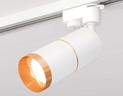 Комплект трекового светильника Ambrella light Track System XT (A2520,C6301,A2062,C6301,N6134) XT6301021 Комплект трекового светильника Ambrella light Track System XT (A2520,C6301,A2062,C6301,N6134) XT6301021