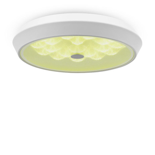 Потолочный светодиодный светильник Freya Cells FR10012CL-L24W Потолочный светодиодный светильник Freya Cells FR10012CL-L24W