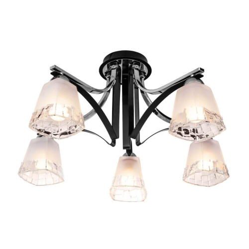 Потолочная люстра Silver Light Montenegro 703.59.5 Потолочная люстра Silver Light Montenegro 703.59.5