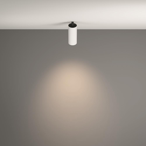 Потолочный светильник Technical C053CL-L12W4K-W-W Потолочный светильник Technical C053CL-L12W4K-W-W