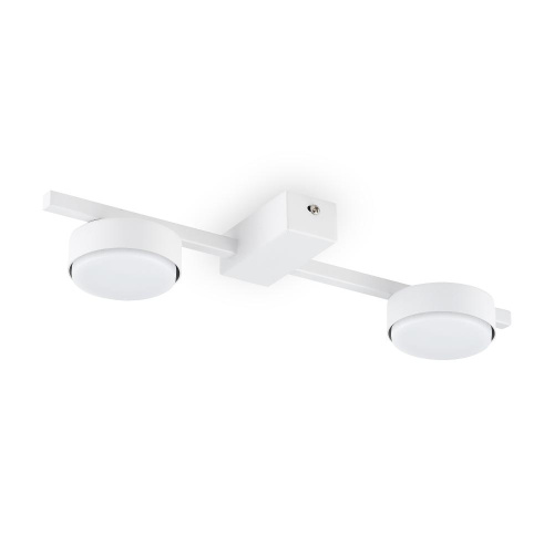 Потолочный светильник Freya FR5363CL-02W Потолочный светильник Freya FR5363CL-02W