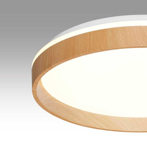 Настенно-потолочный светильник Sonex GARI WOOD 7684/DL Настенно-потолочный светильник Sonex GARI WOOD 7684/DL