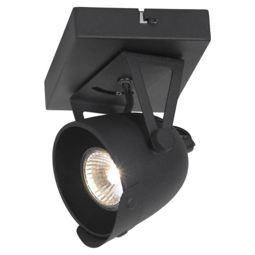 Спот Lussole Loft GRLSP-9505 Спот Lussole Loft GRLSP-9505