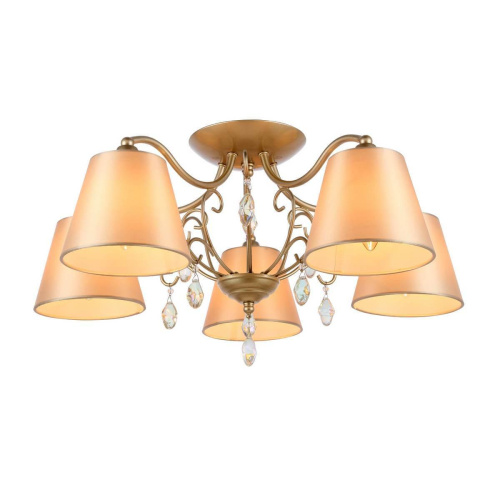 Потолочная люстра Evoluce Rimonio SL1135.102.05 Потолочная люстра Evoluce Rimonio SL1135.102.05