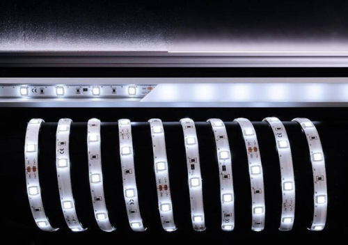 Лента светодиодная Deko-Light 5050-30-24V-6500K-5m 522551 Лента светодиодная Deko-Light 5050-30-24V-6500K-5m 522551