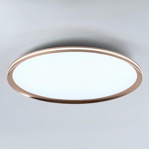 Потолочный cветильник LED4U L3020-600 GD Потолочный cветильник LED4U L3020-600 GD