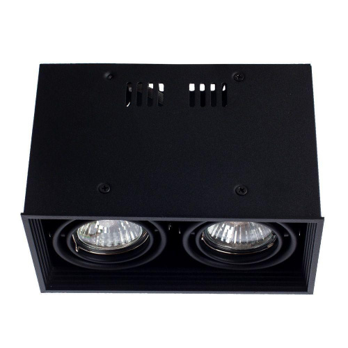 Потолочный светильник Arte Lamp Cardani A5942PL-2BK Потолочный светильник Arte Lamp Cardani A5942PL-2BK