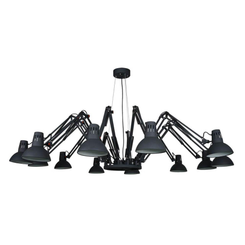 Подвесная люстра Arte Lamp Ragno A2043SP-12BK Подвесная люстра Arte Lamp Ragno A2043SP-12BK